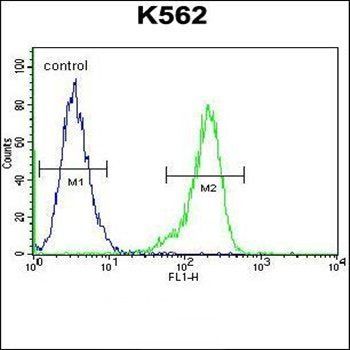 RPS19 antibody
