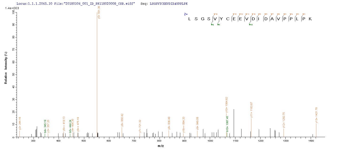 Human OGN protein