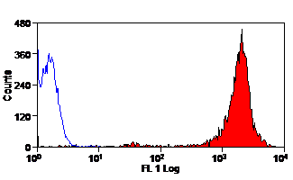 CRYPTOSPORIDIUM Antibody