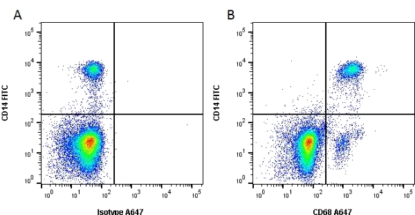 MOUSE ANTI HUMAN CD68:RPE