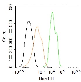 Nurr1 antibody (FITC)