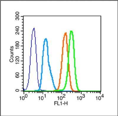 Caveolin-3 antibody (PE)