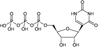 Pseudo-UTP