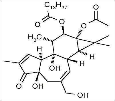 Phorbol 12-Myristate 13-Acetate