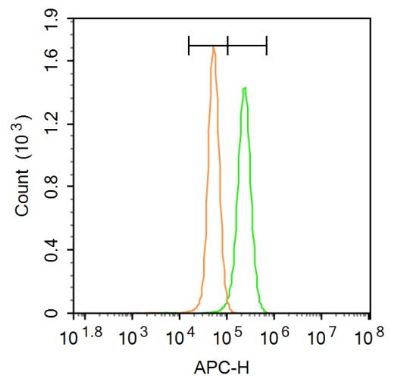 HMGCR (phospho-Ser872) antibody