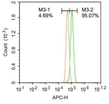 HMGCR (phospho-Ser872) antibody