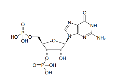 Guanosine-3',5'-bisphosphate