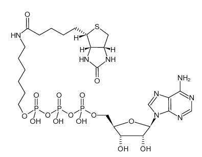 γ-(6-Aminohexyl)-ATP-Biotin