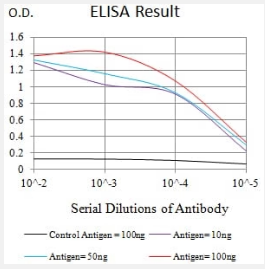 CD352 Antibody