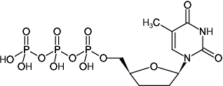 ddTTP