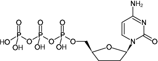 ddCTP