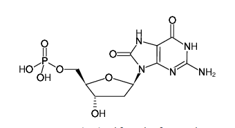 8-Oxo-dGMP