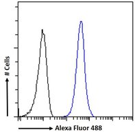 TICAM1 antibody