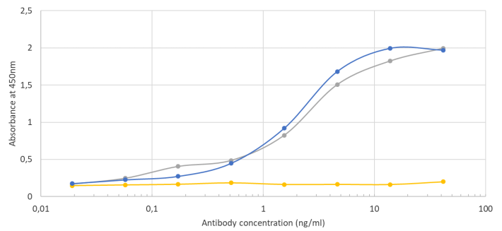 COVID-19 & SARS-CoV S glycoprotein antibody