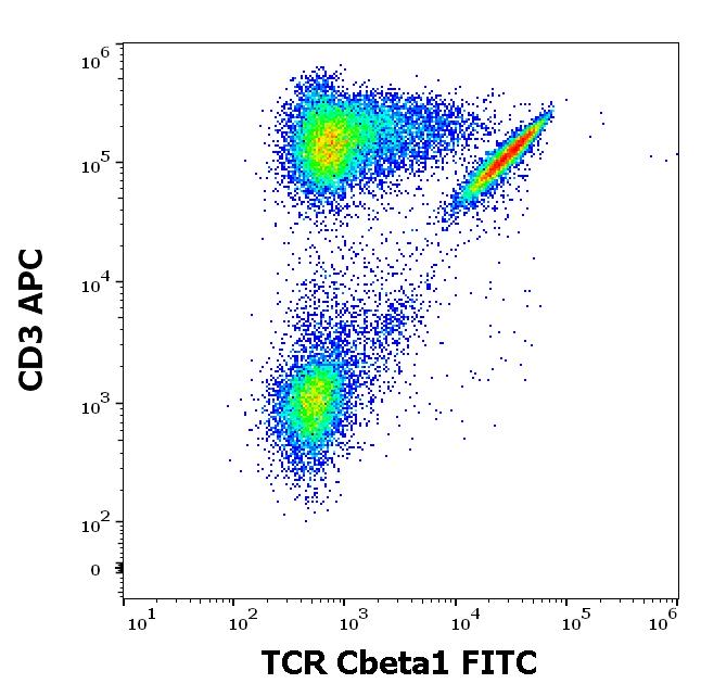 TCR Cbeta1 antibody (FITC)