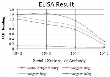 OTX2 Antibody