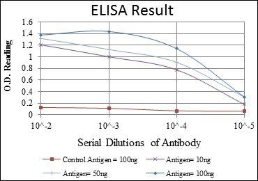 OTX2 Antibody