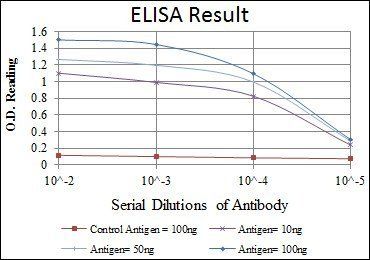 OTX2 Antibody