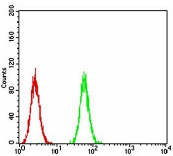 P2RY13 Antibody