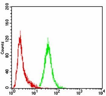 P2RY13 Antibody