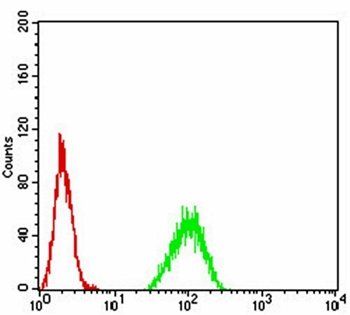 PAX6 Antibody