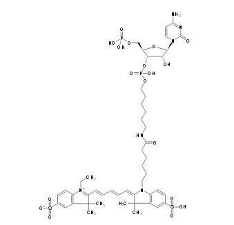 pCp-CY5 (Cy5)