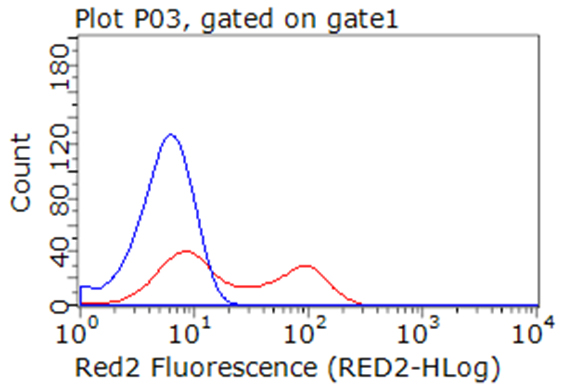 CD274 Antibody