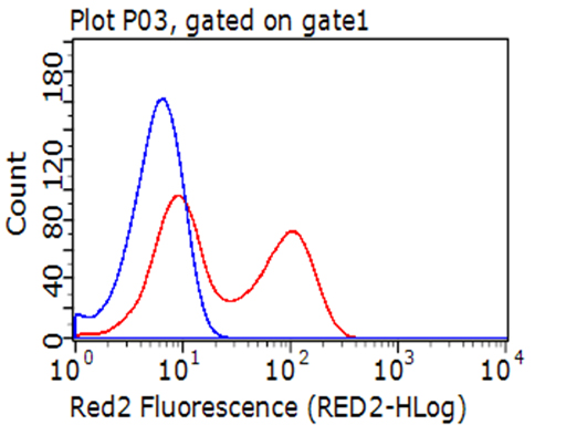 CD274 Antibody