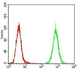 PDGFRA Antibody