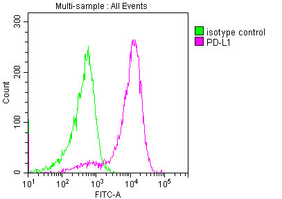 PD-L1 antibody