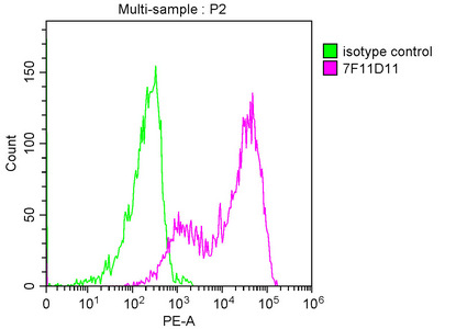 PD-L2 Monoclonal Antibody