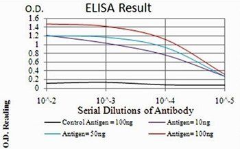 PDPK1 Antibody