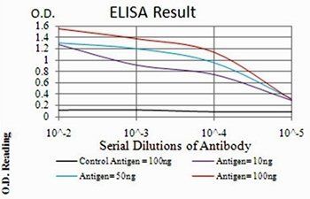 PDPK1 Antibody