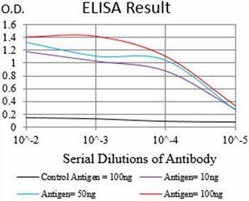 PER3 Antibody