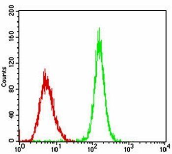 PER3 Antibody