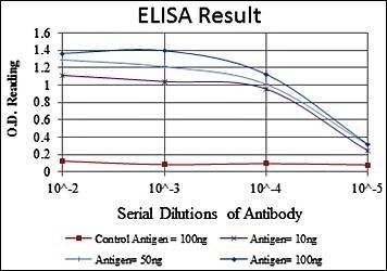 PGC-1alpha Antibody