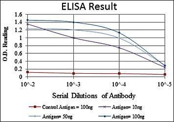 PHB Antibody