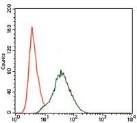 PIK3R1 Antibody