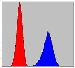 Pirh2 Antibody