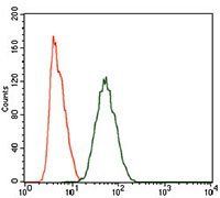 PIWIL4 Antibody