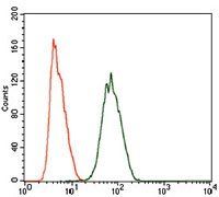 PIWIL4 Antibody