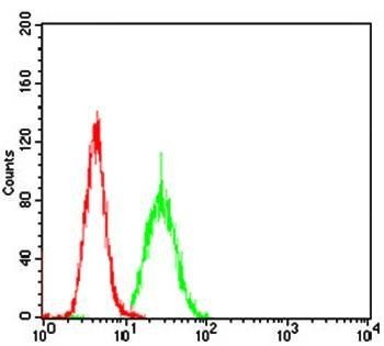 PKHD1 Antibody