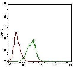 PLA2G12A Antibody