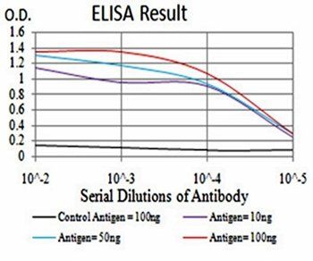 PLCG1 Antibody