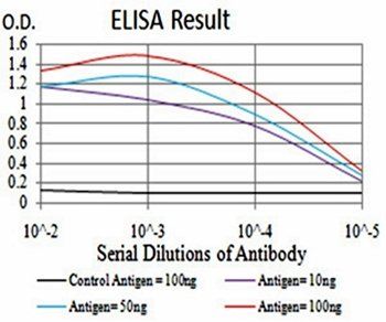 PLCG1 Antibody