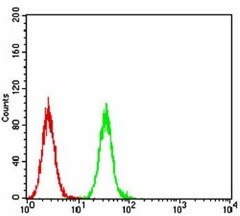 PLCG2 Antibody