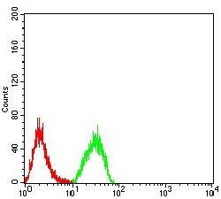 PLD2 Antibody