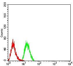 PLD2 Antibody