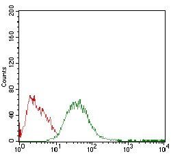 PLIN2 Antibody