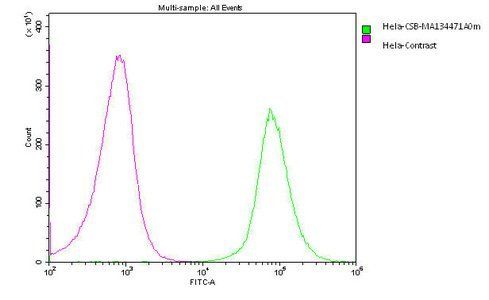 PODXL Monoclonal Antibody
